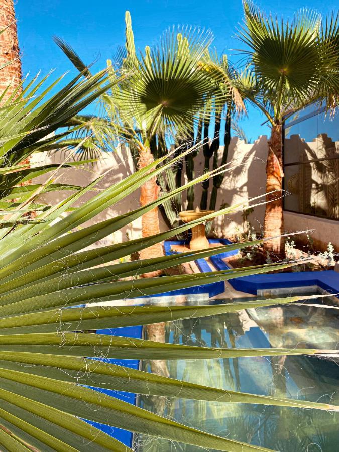 Maison Daouia Ouled Jelal Ngoại thất bức ảnh